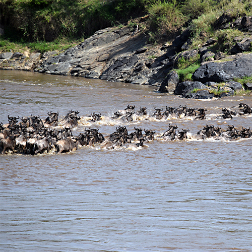 Kenya Africa